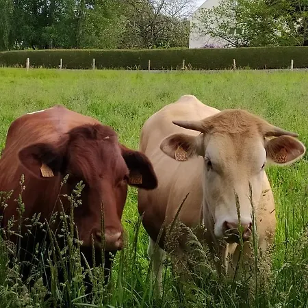 Bed and Breakfast La Chaussee D'olivet En Mayenne Olivet (Mayenne)