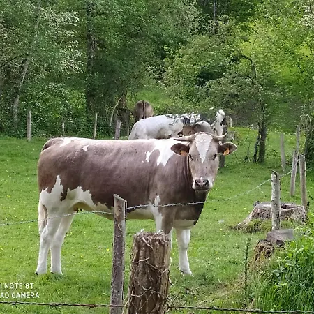 La Chaussee D'olivet En Mayenne Olivet (Mayenne)