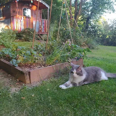 Bed and Breakfast La Chaussee D'olivet En Mayenne