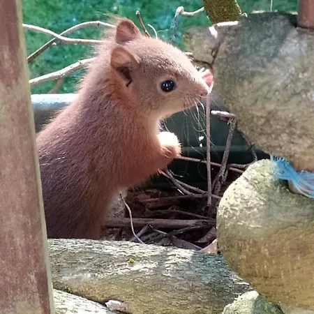 La Chaussee D'olivet En Mayenne 3* Olivet (Mayenne)