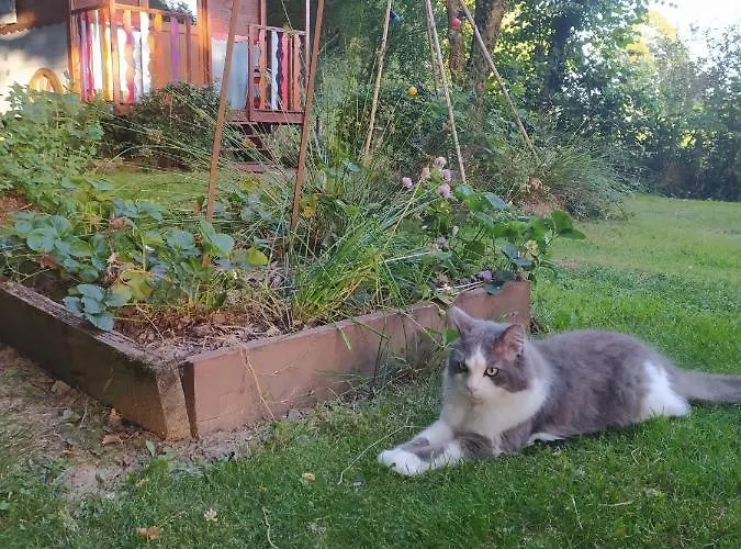 Bed & Breakfast La Chaussee D'olivet En Mayenne