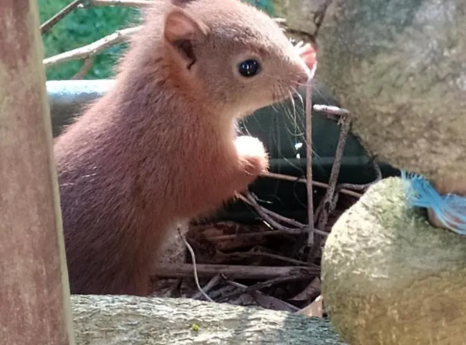 La Chaussee D'olivet En Mayenne 3* Olivet (Mayenne)