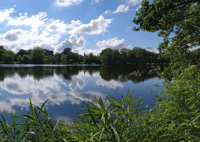 La Chaussee D'olivet En Mayenne Bed & Breakfast