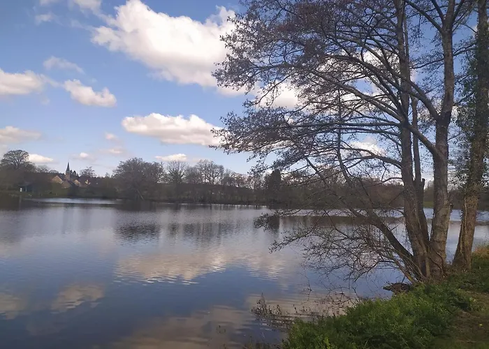 La Chaussee D'olivet En Mayenne Bed & Breakfast 3*